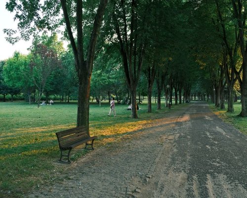 An outdoor urban park pathway surrounded by rich green trees suitable for gentle evening relaxation walks